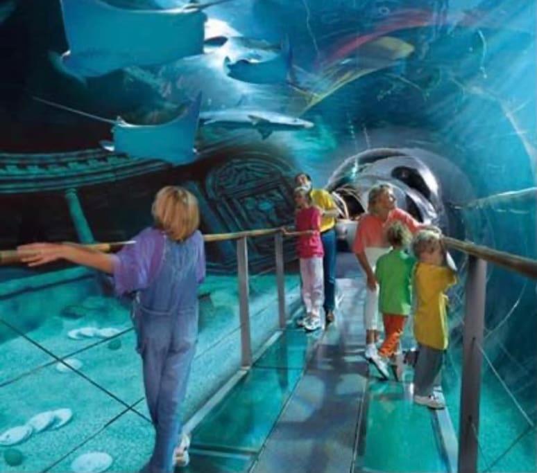 Disney Cocooning A 5 Minutes Du Parc Coupvray Zewnętrze zdjęcie